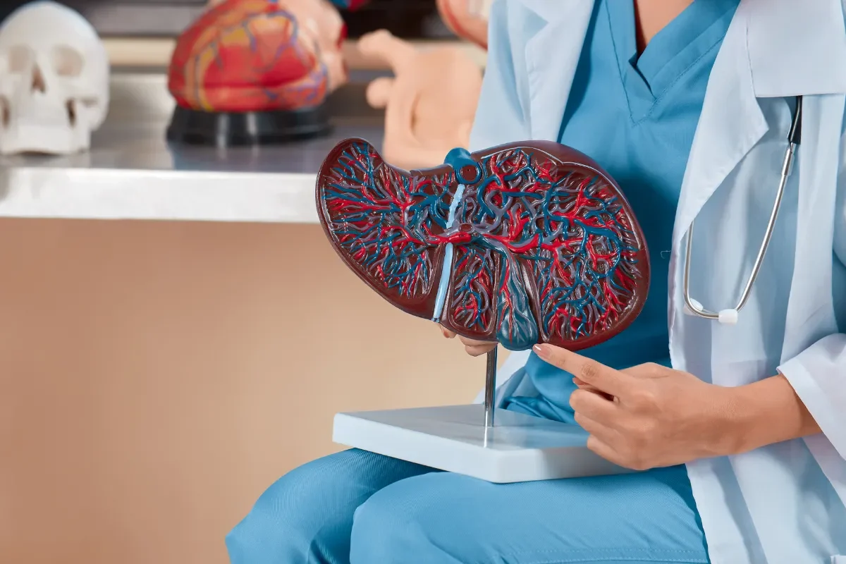 7 signes qui montrent que votre foie est malade  agissez maintenant !